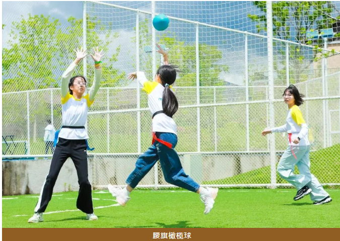 丽江·高山采菌,纳西自然探索营