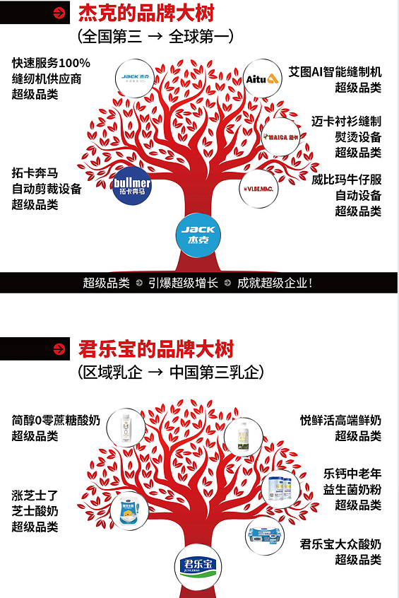 《超级品类增长战略》