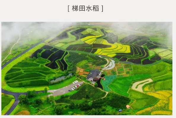 魔瘦减重—四川奢华营地