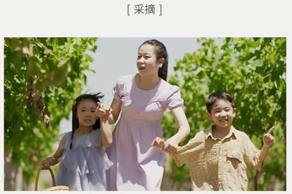 魔瘦减重——北京奢华营地