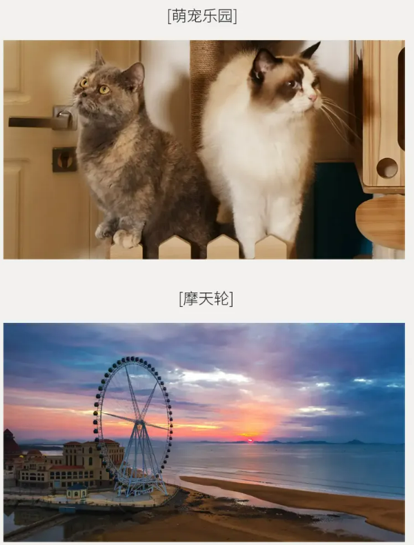 魔瘦减重—青岛奢华营地