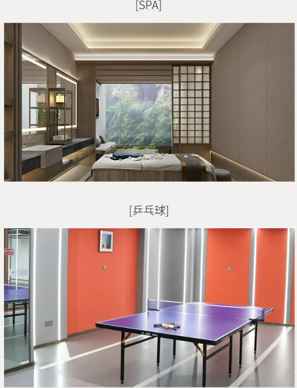 魔瘦减重—云南奢华营地