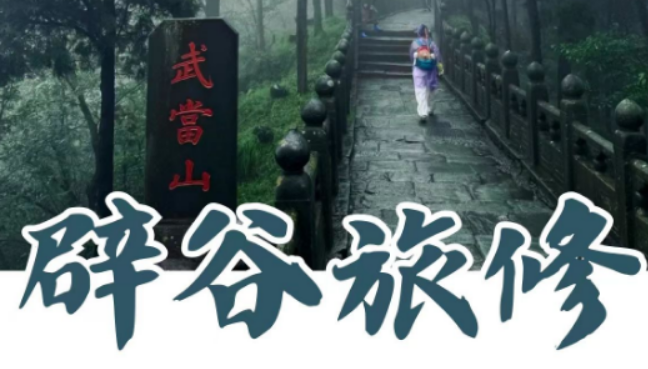 2026 武当玄境辟谷怎么样？老学员真实分享，身心蜕变全程记录