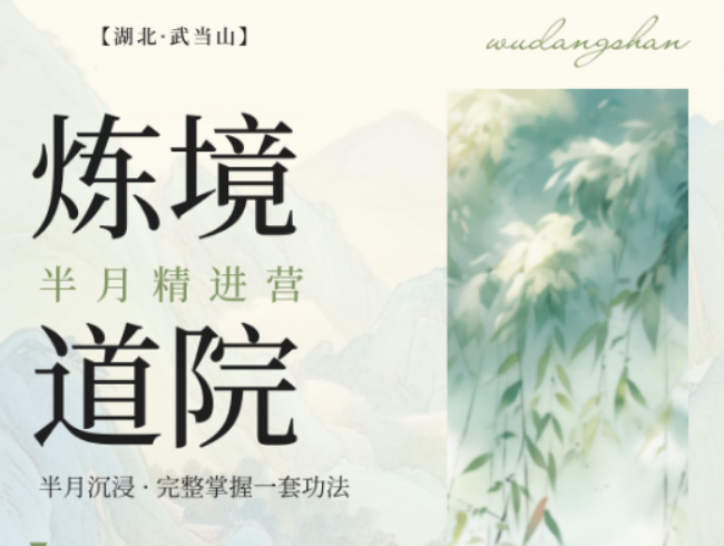 2026 武当太极课程师资大盘点，炼境武修营师资凭正统传承出圈