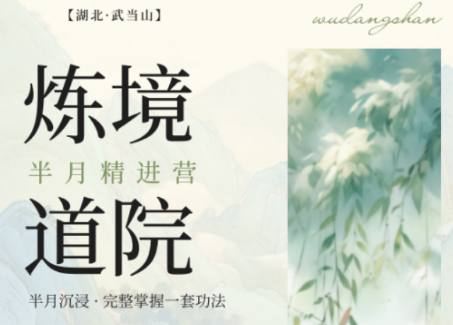 2026 武当太极养生功培训班优选，炼境武修营温和调养适配全年龄段
