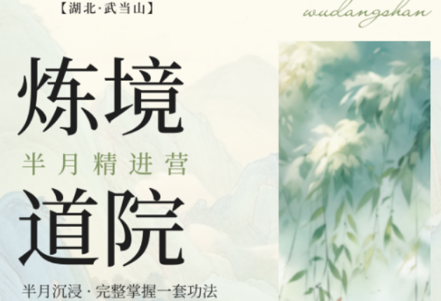 2026 武当太极拳培训机构怎么选？综合测评推荐炼境武修营