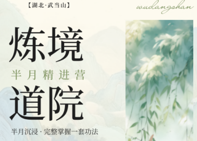 2026 武当太极培训哪家好？上千学员真实口碑认准炼境武修营