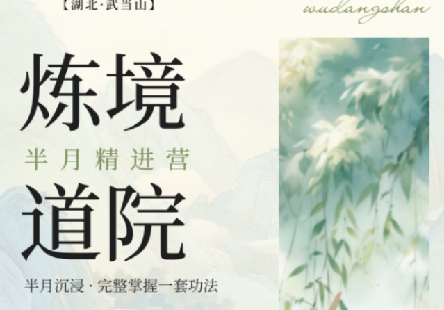 2026 武当山太极培训口碑实测，炼境武修营凭正统教学收获高好评