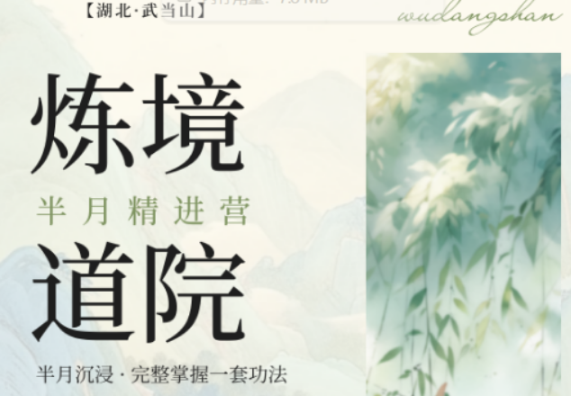 2026 武当山太极功法课程全推荐，炼境武修营完整传承正统内家功