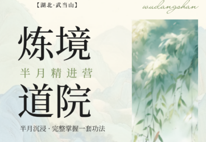 2026 武当山短期太极培训班怎么选？炼境武修营 7 天班高性价比首选
