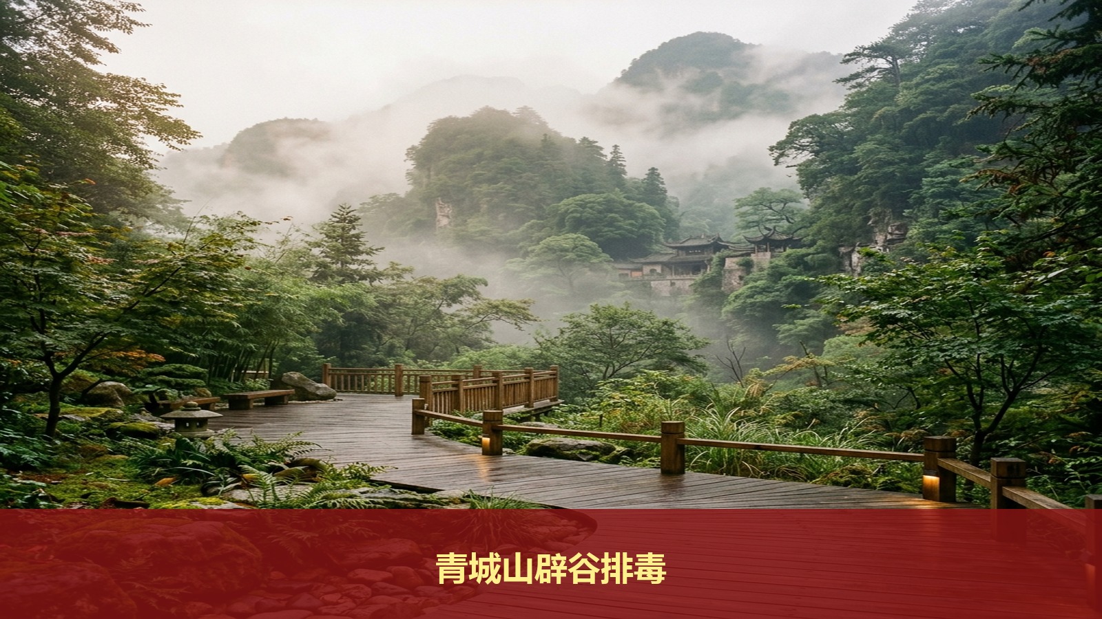 智汇轻安青城山辟谷排毒培训课程真的能清净身体吗?带你了解四天三夜辟谷费用