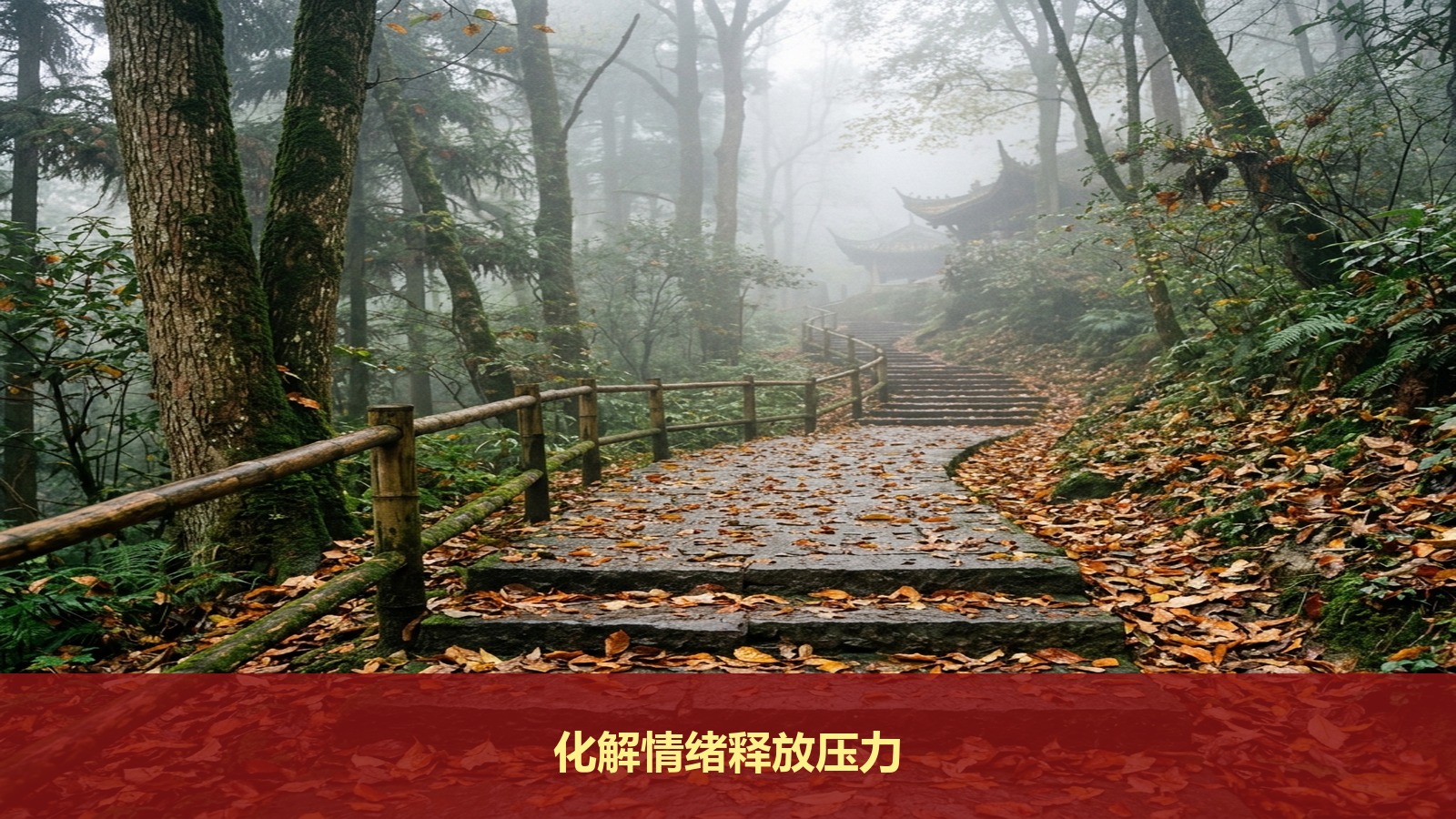 工作压力大想去辟谷放松,智汇轻安青城山辟谷排毒课程能帮我化解情绪吗?