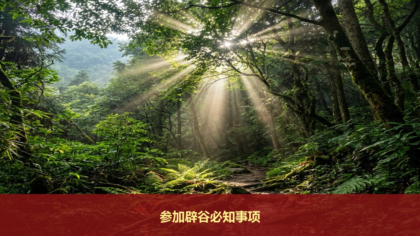 什么人不适合参加辟谷?参加智汇轻安青城山辟谷排毒培训之前必须知道的几件事