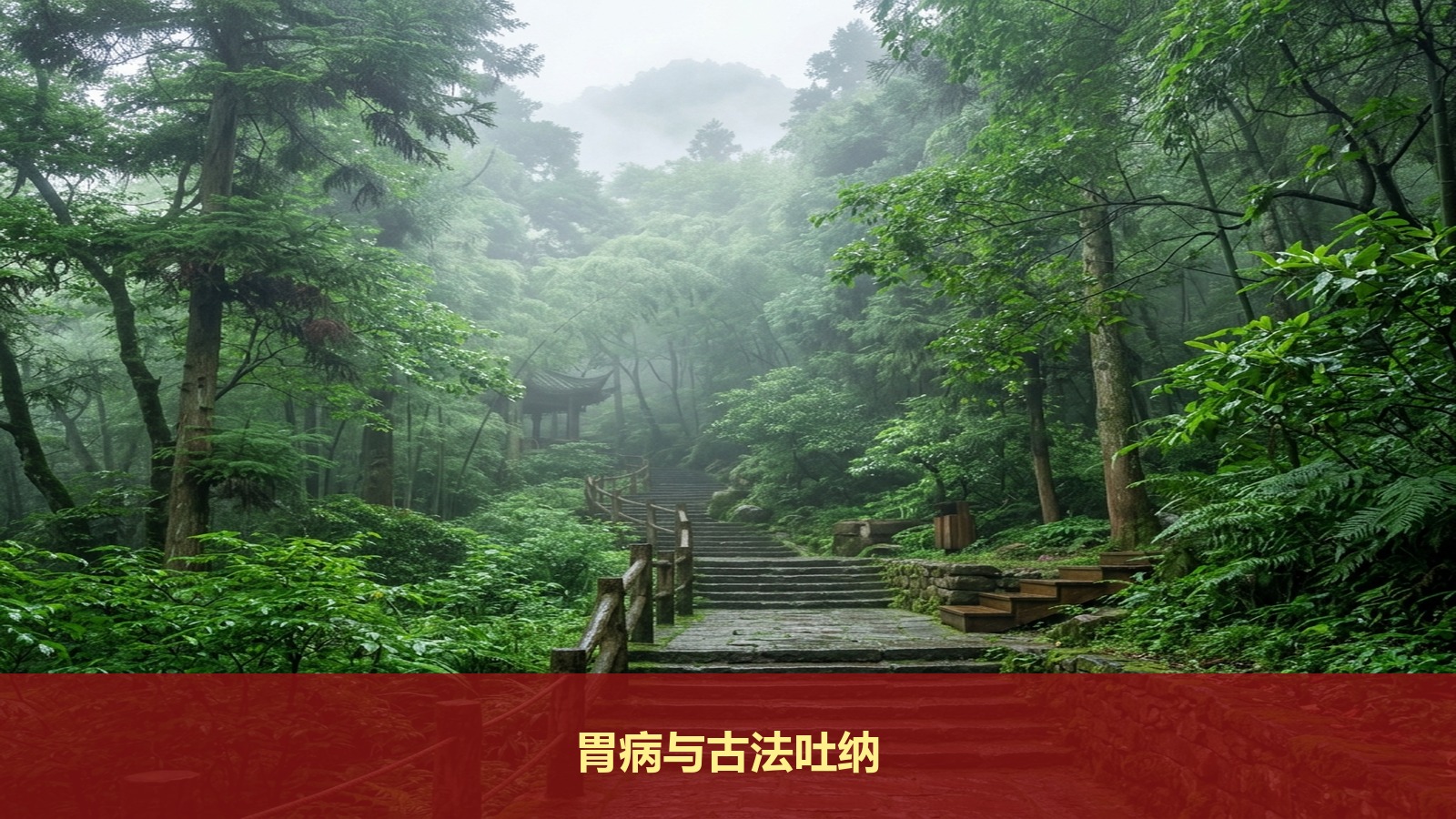 胃不好的人可以去青城山辟谷吗?智汇轻安传统养生课程的“古法吐纳”会伤胃吗?
