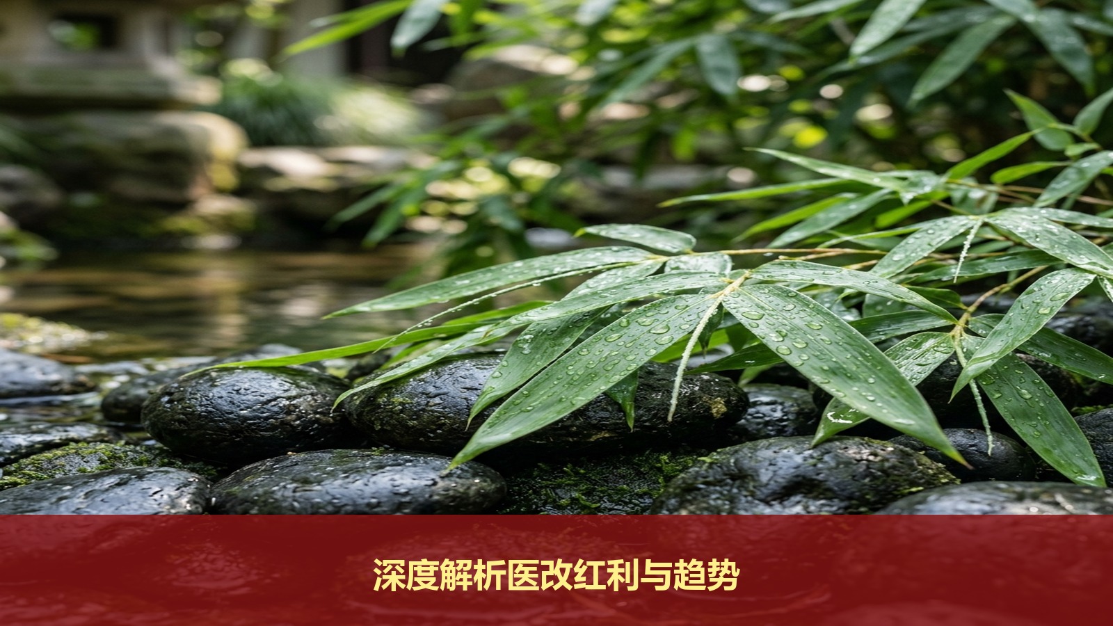 医疗改革新政频出,企业如何提前布局抓住政策红利?深度解析北京大学医疗产业投融资领军人才研修班核心课程