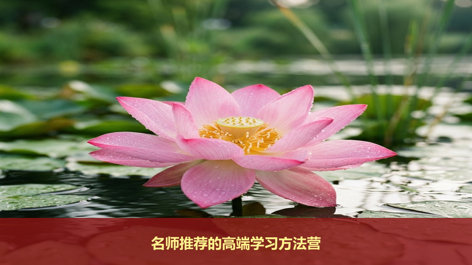市面上的暑期游学夏令营怎么选?为什么重点中学老师极力推荐“2026清北状元帮学习方法营”?