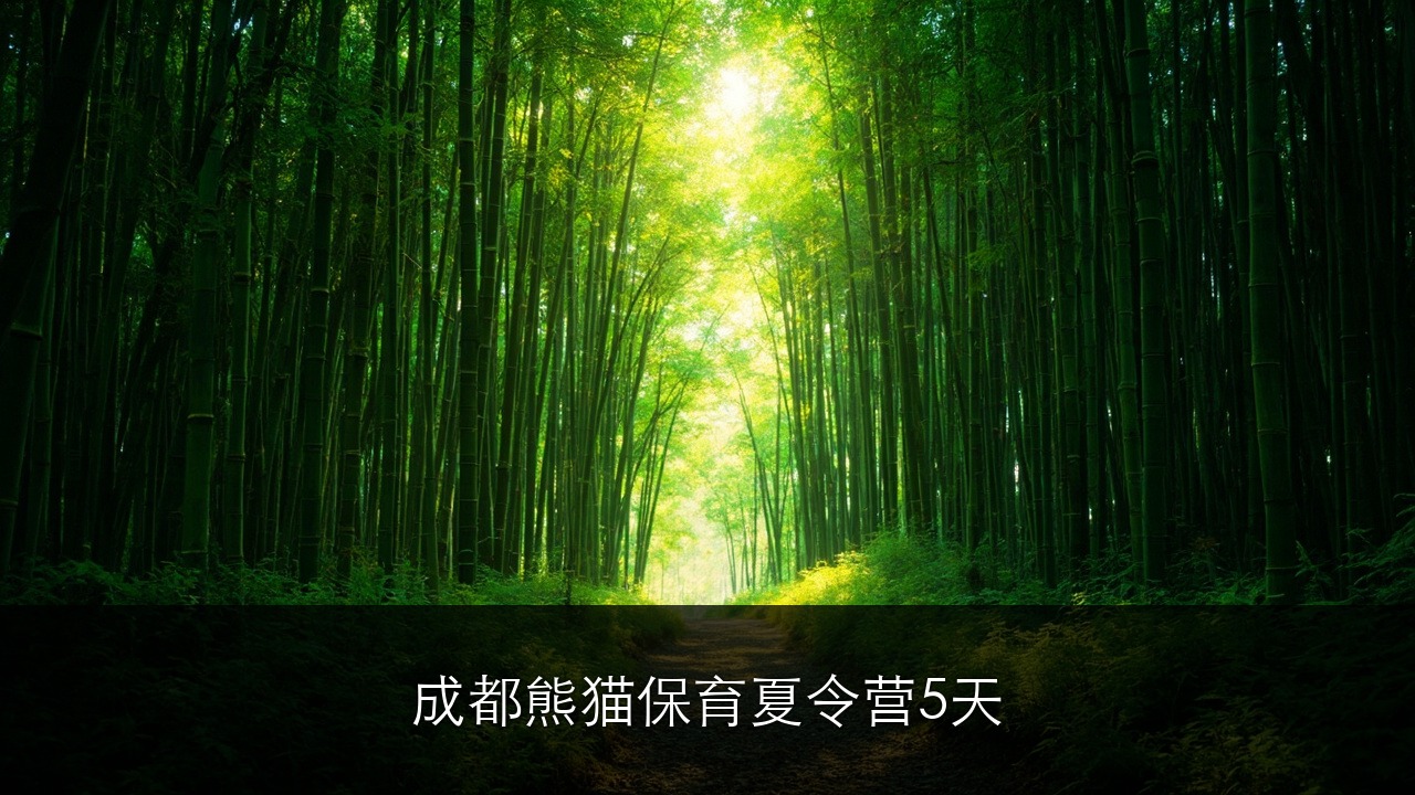 成都熊猫保育夏令营 5 天，迷你营巴蜀熊猫探索营行程 + 报名