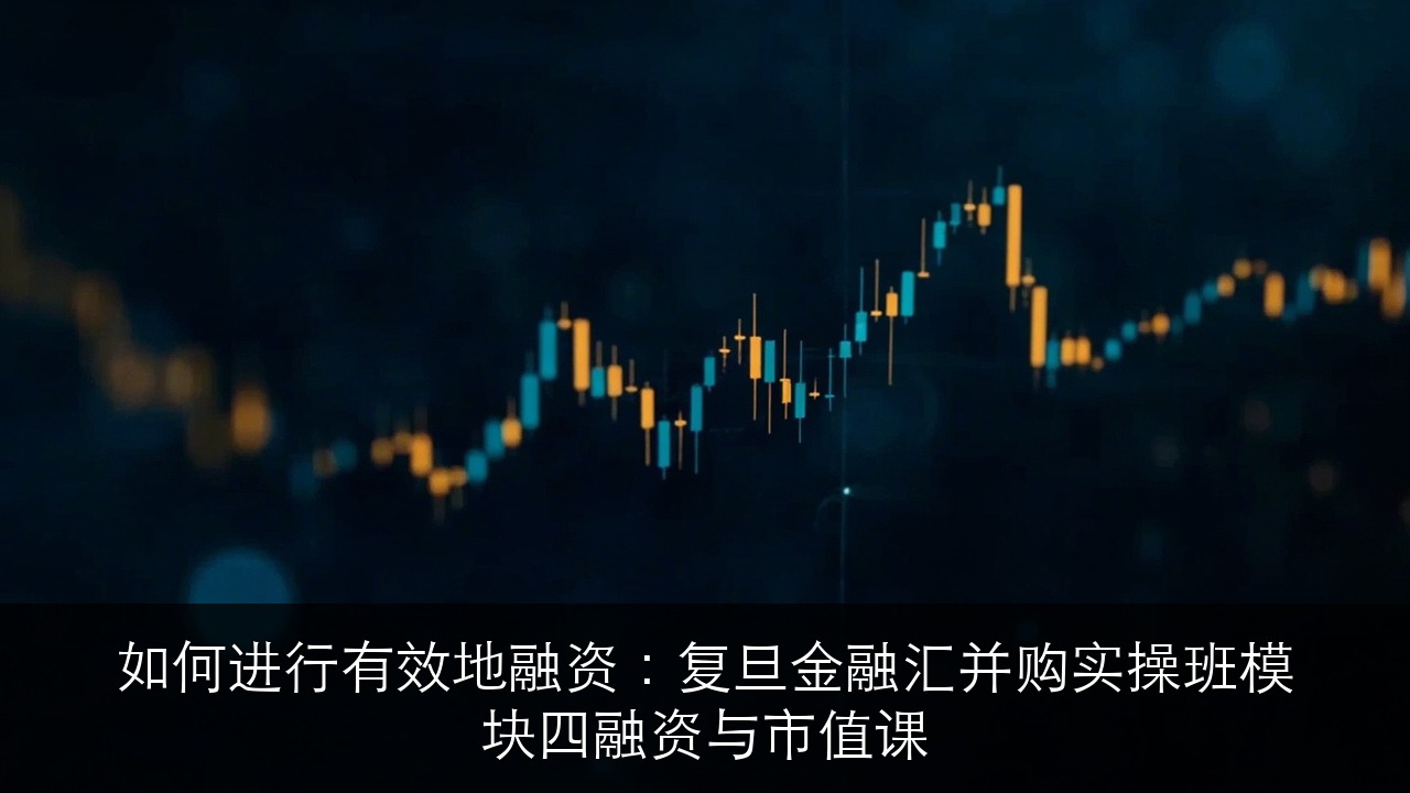 如何进行有效地融资:复旦金融汇并购实操班模块四融资与市值课