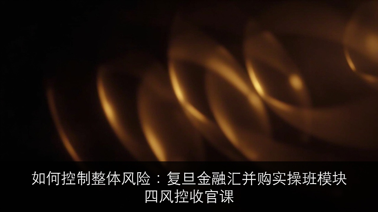 如何控制整体风险:复旦金融汇并购实操班模块四风控收官课