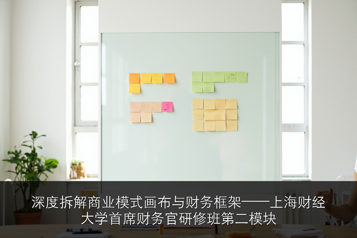 深度拆解商业模式画布与财务框架——上海财经大学首席财务官研修班第二模块