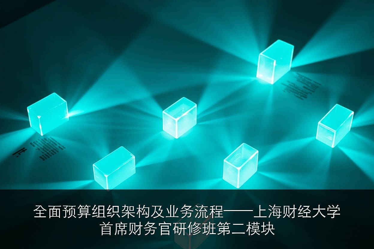 全面预算组织架构及业务流程——上海财经大学首席财务官研修班第二模块