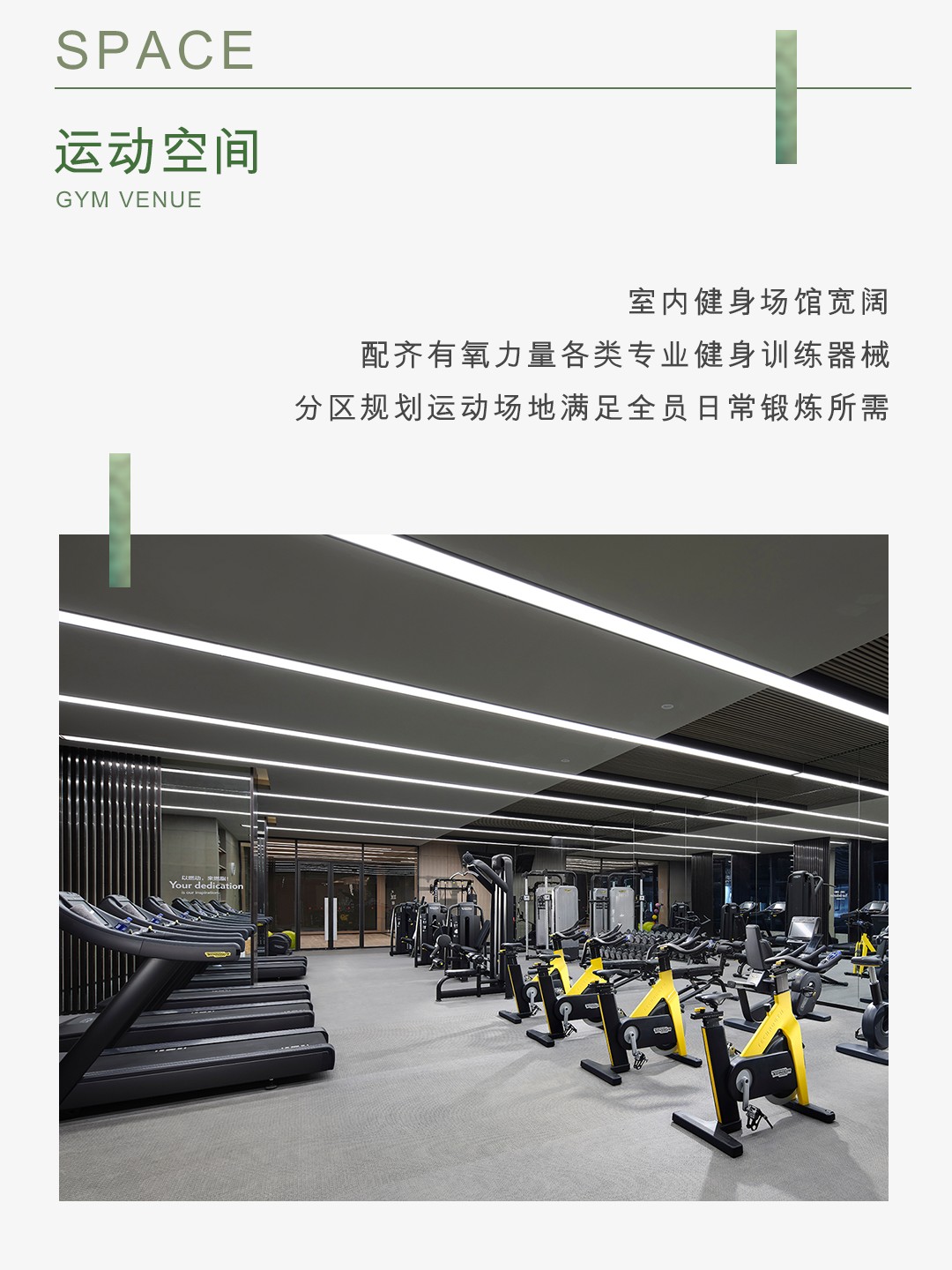 魔瘦麦吉克高端减肥训练营全国直营介绍:杭州北京海南等多城营地、五星住宿与科学餐食全解析