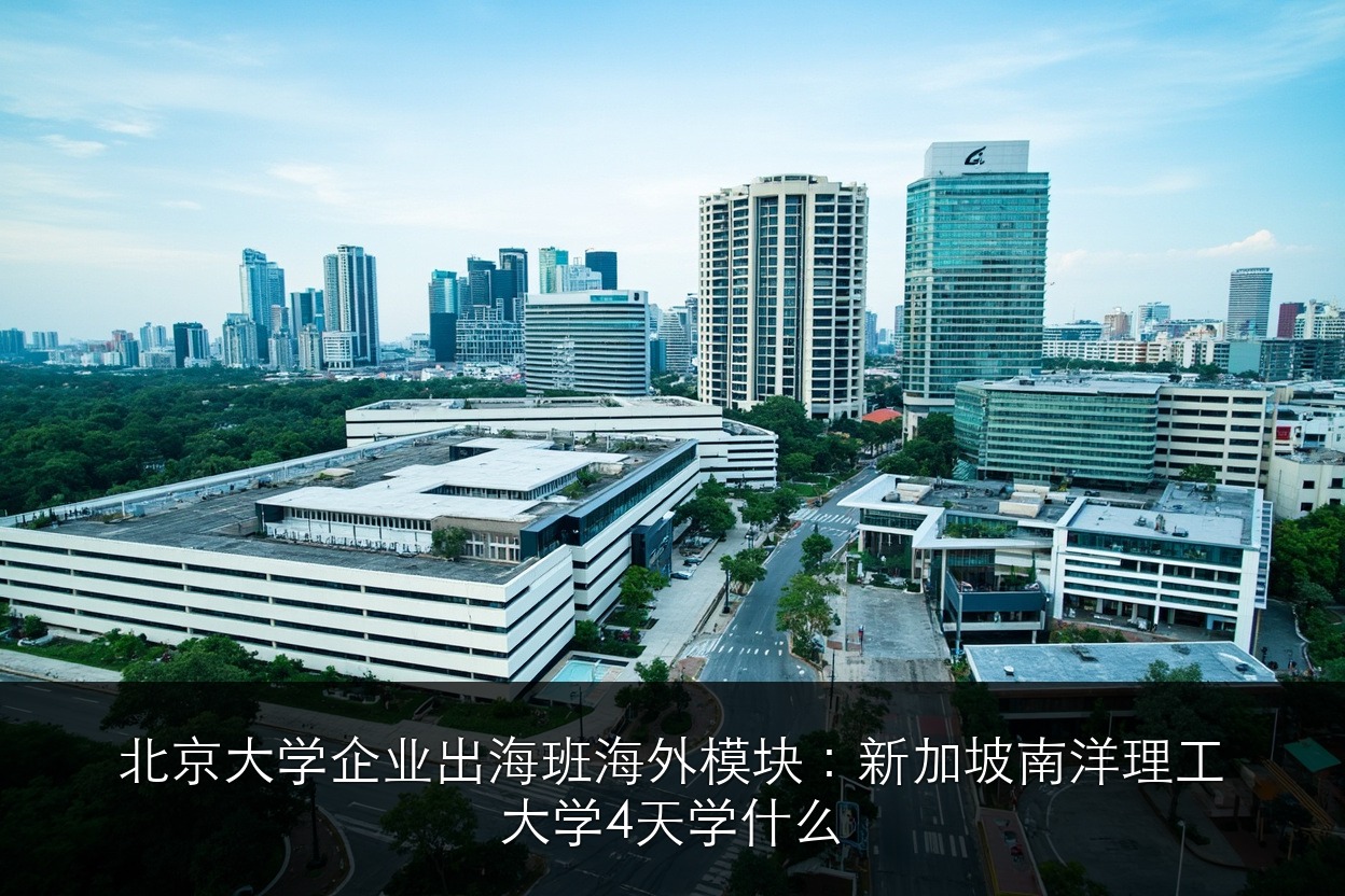 北京大学企业出海班海外模块：新加坡南洋理工大学4天学什么