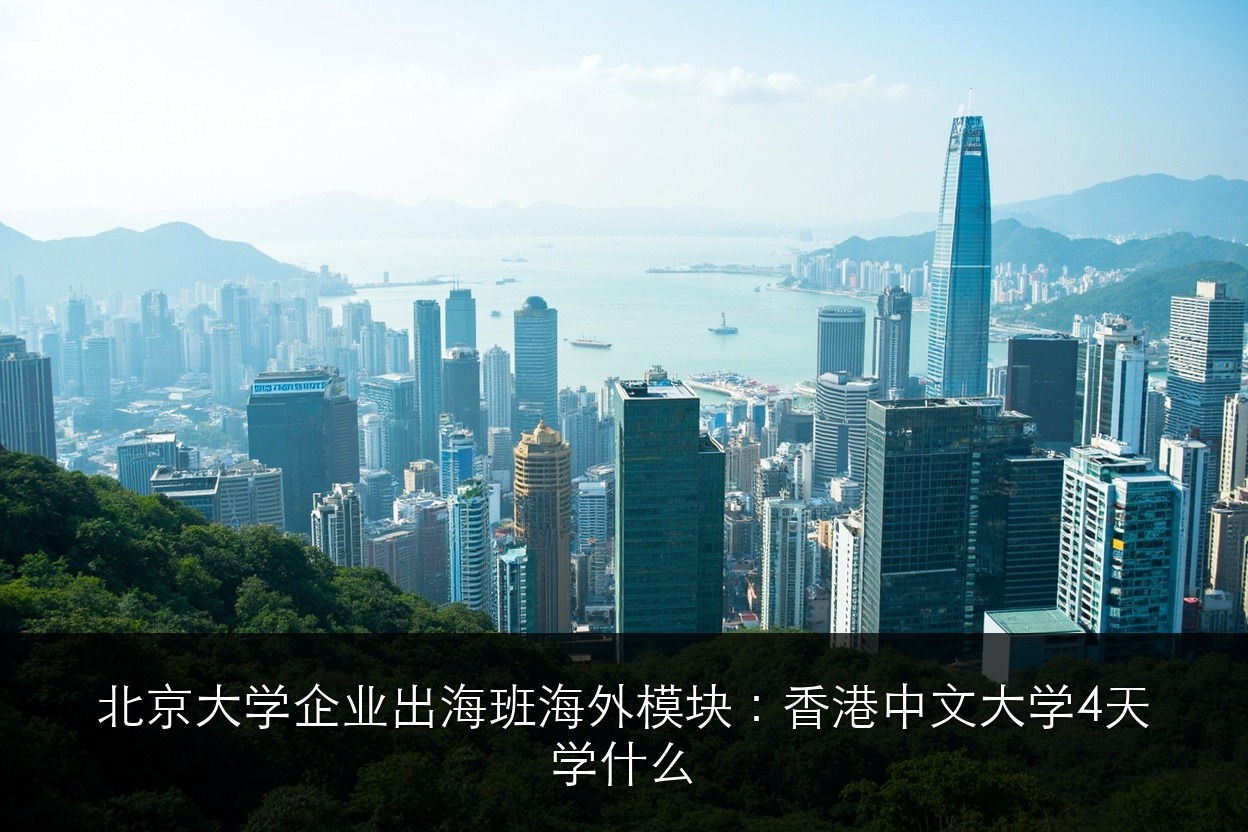 北京大学企业出海班海外模块：香港中文大学4天学什么