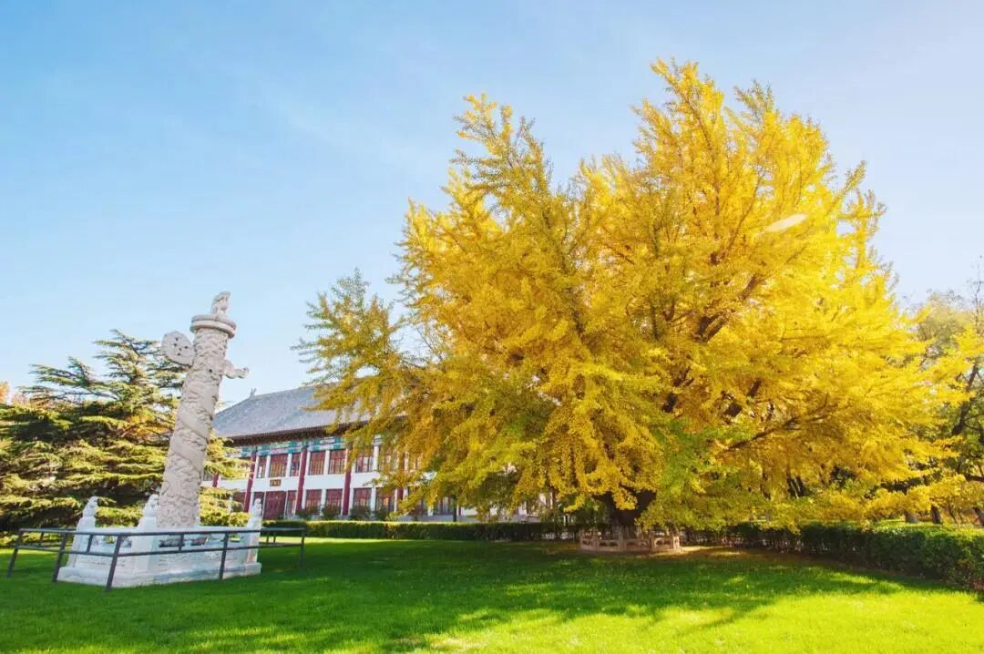招生简章｜北京大学深圳研究院金融投资与资本运营实战研修班
