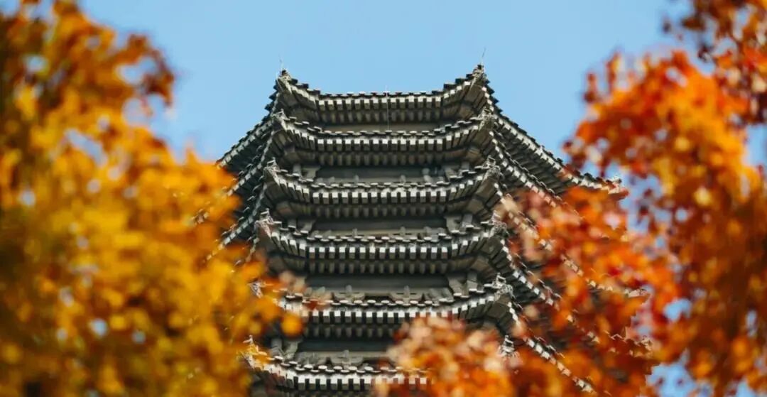 招生简章｜北京大学深圳研究院金融投资与资本运营实战研修班