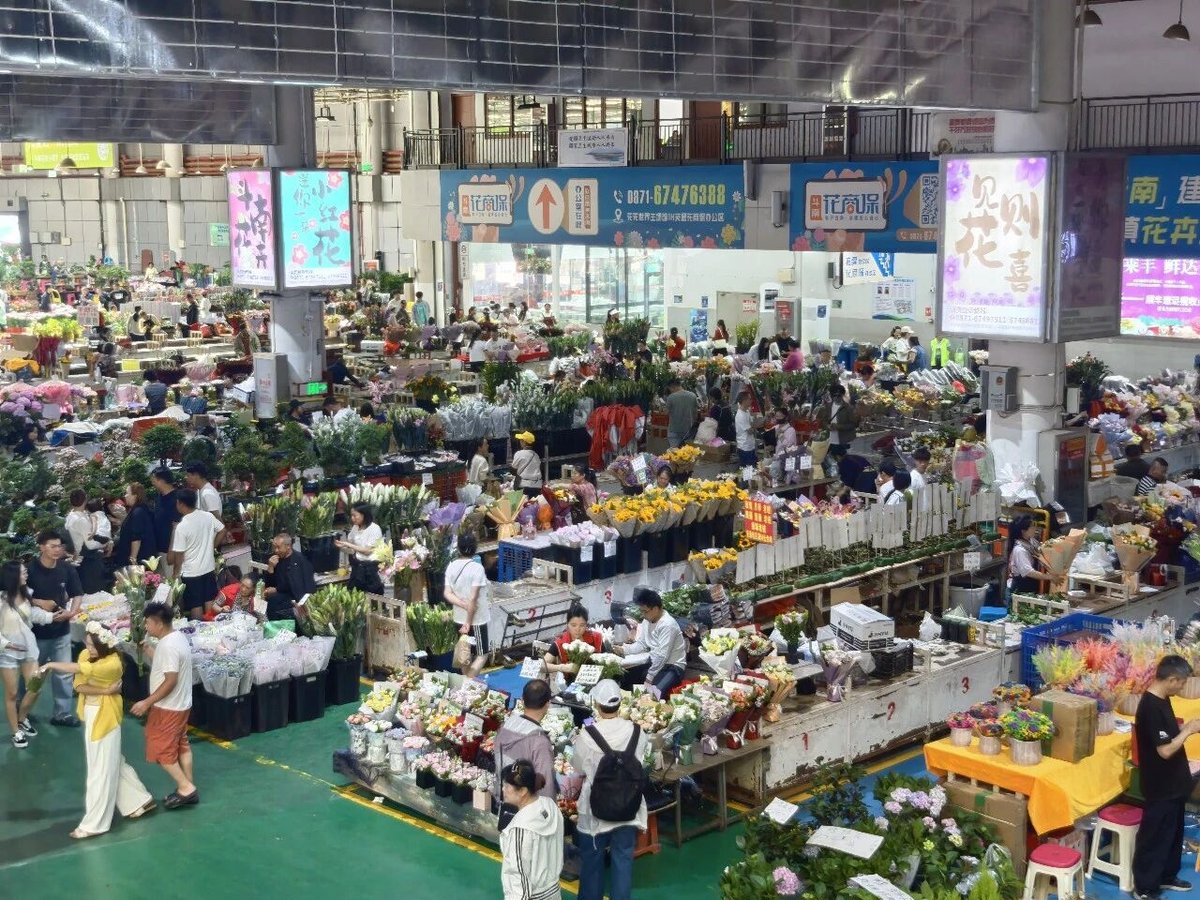 兰彦岭《鬼谷子养生智慧辟谷班》昆明站圆满结营|七日辟谷道家功法养生修行