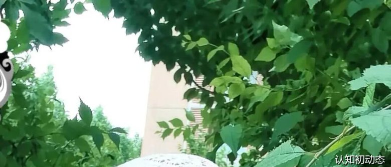 姗蝴二次参营实记·认知初知行合一苏醒营让孩子重燃活力——北京父母成长营地报名