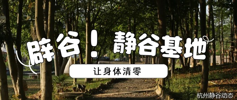 龙游静谷养生基地正式开营——衢州龙游辟谷养生·正念冥想·自然疗愈沉浸式体验