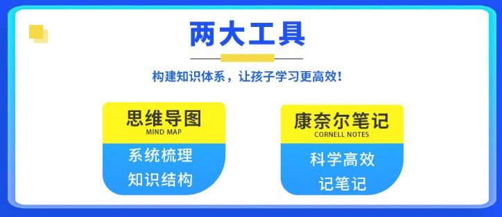 美羊学习力小学4-6年级5天学习力学科素养训练营，杨娟教授团队2026年7月20-24日北京海淀开班