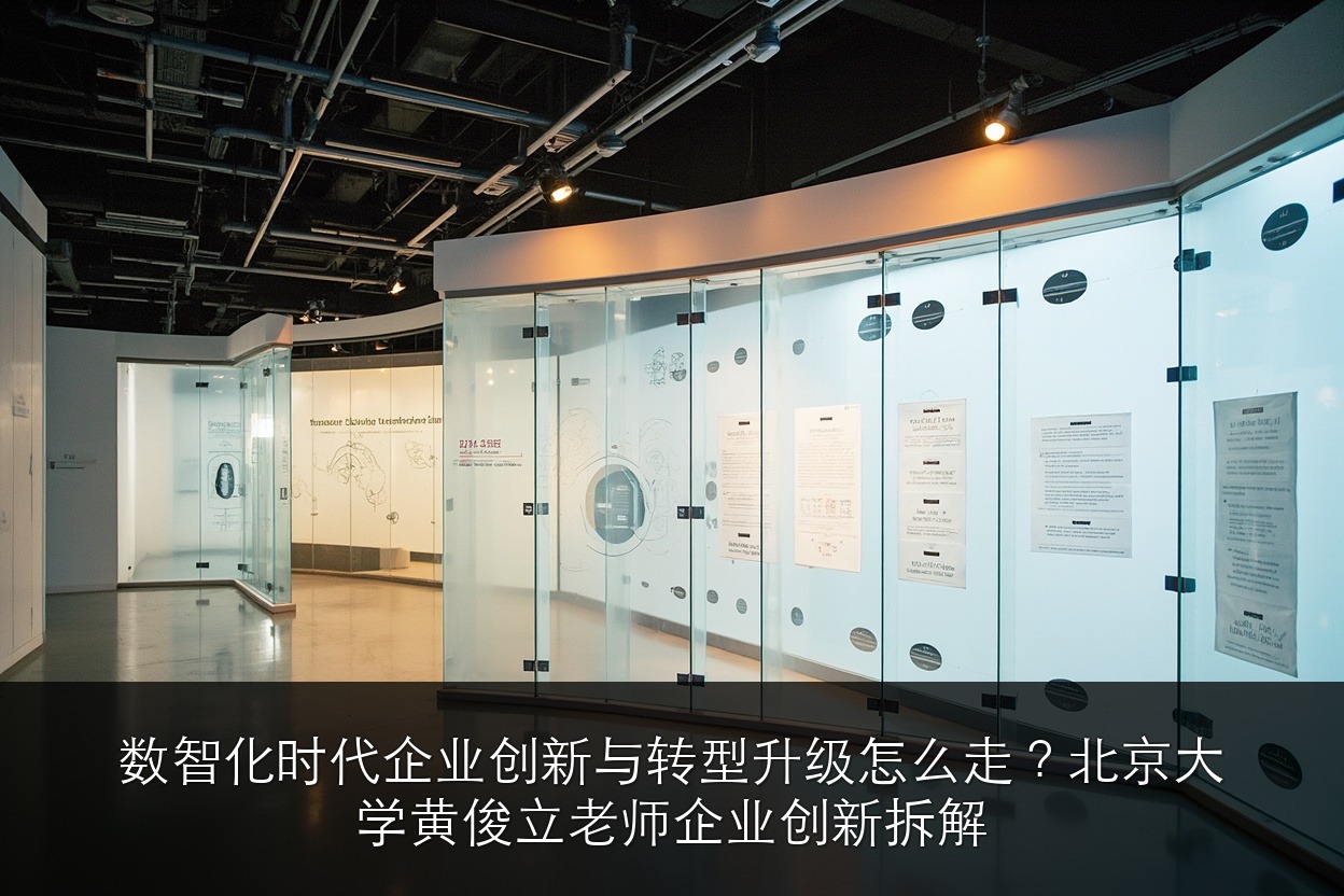 数智化时代企业创新与转型升级怎么走?北京大学黄俊立老师企业创新拆解