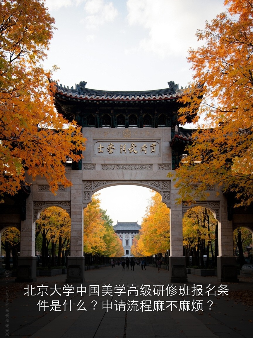 北京大学中国美学高级研修班报名条件是什么？申请流程麻不麻烦？