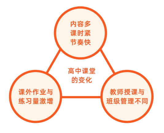 高一领航班