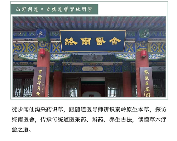 黎荔-终南问道养心归真营