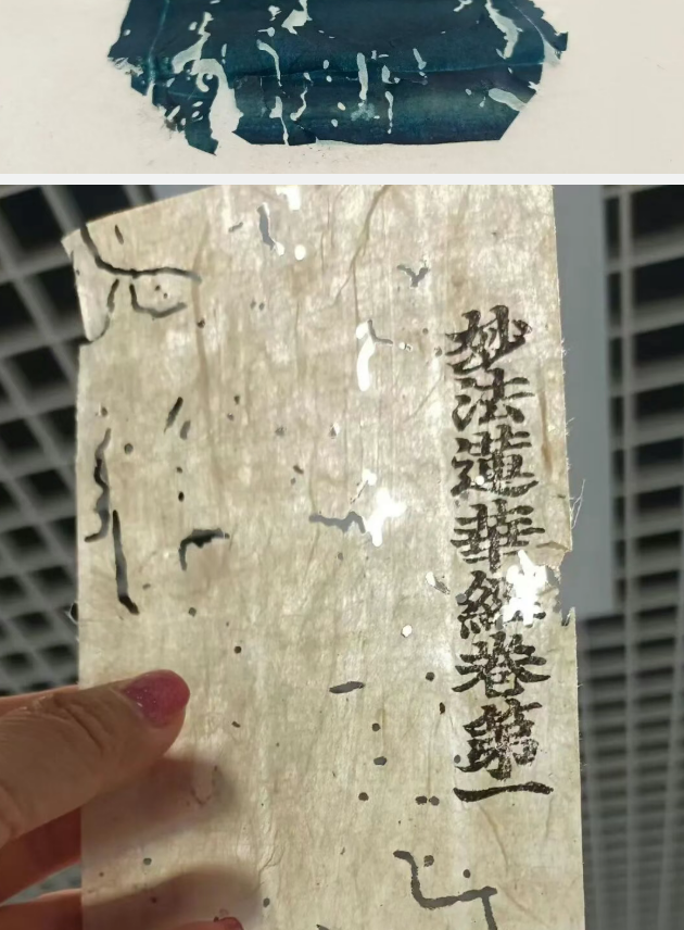 浙江大学古籍修复基础研修班