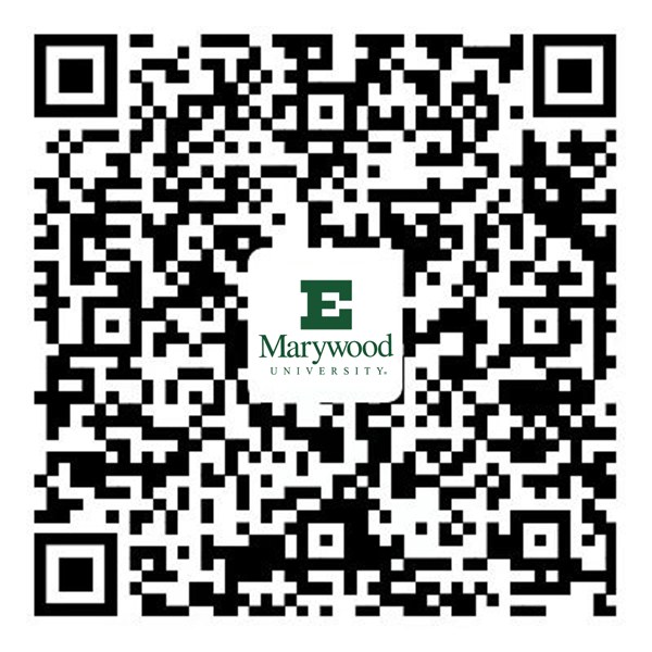 紫荆教育 | 关琳莉 | 紫荆-玛丽伍德大学EMBA与MBA研讨会回顾 · AI赋能文化跨域传播 | 7月1日 | 线上菁英对话