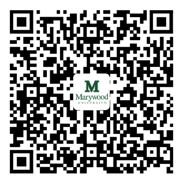 紫荆教育 | 关琳莉 | 紫荆-玛丽伍德大学EMBA与MBA研讨会回顾 · AI赋能文化跨域传播 | 7月1日 | 线上菁英对话