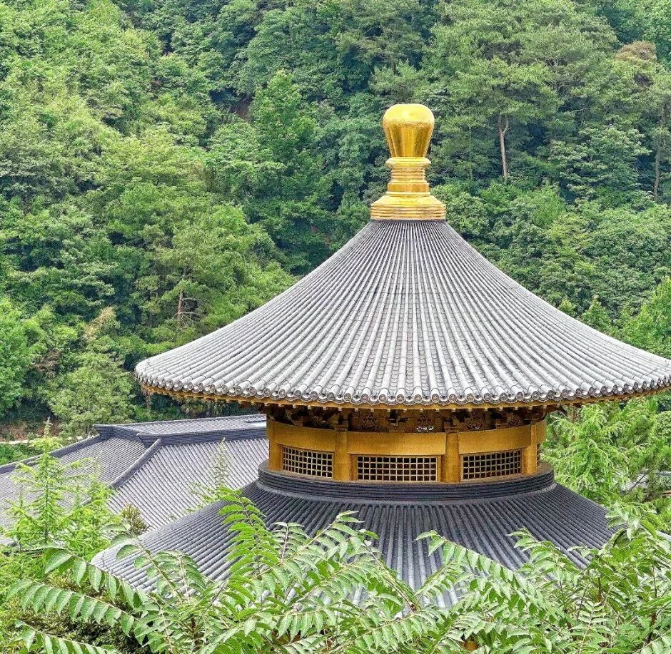 浙江大学 | 工商管理190期 | 走进宁波 | 和黄医药/宏杰电子/波星通深度研学