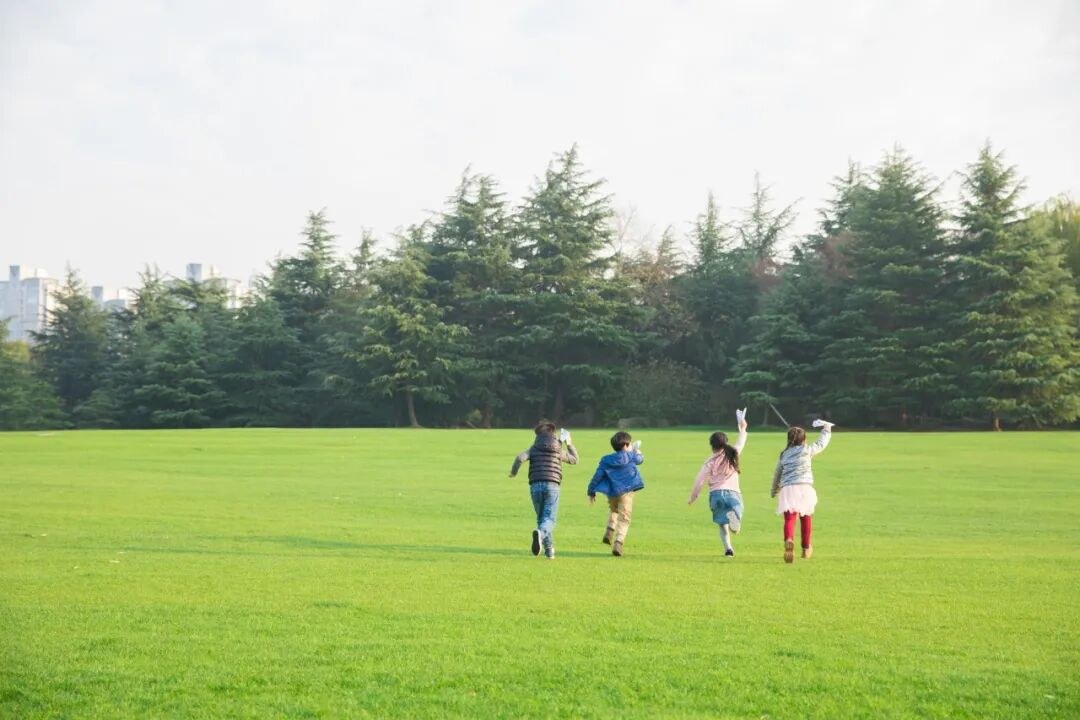 你身上的磁场,藏着孩子的性格与命格:父母先稳住自己,孩子才会慢慢向光生长