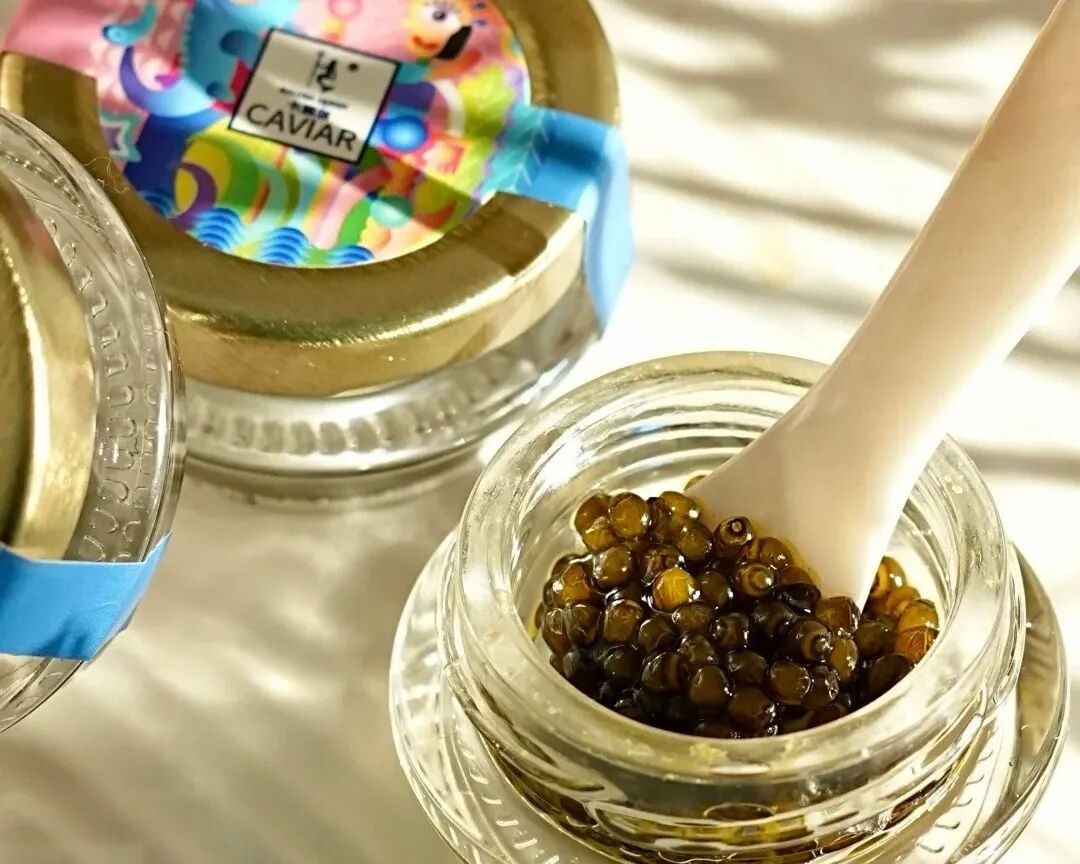 迷你营千岛湖亲子营:玩水摸鱼和萤火虫3天2晚适合多大孩子