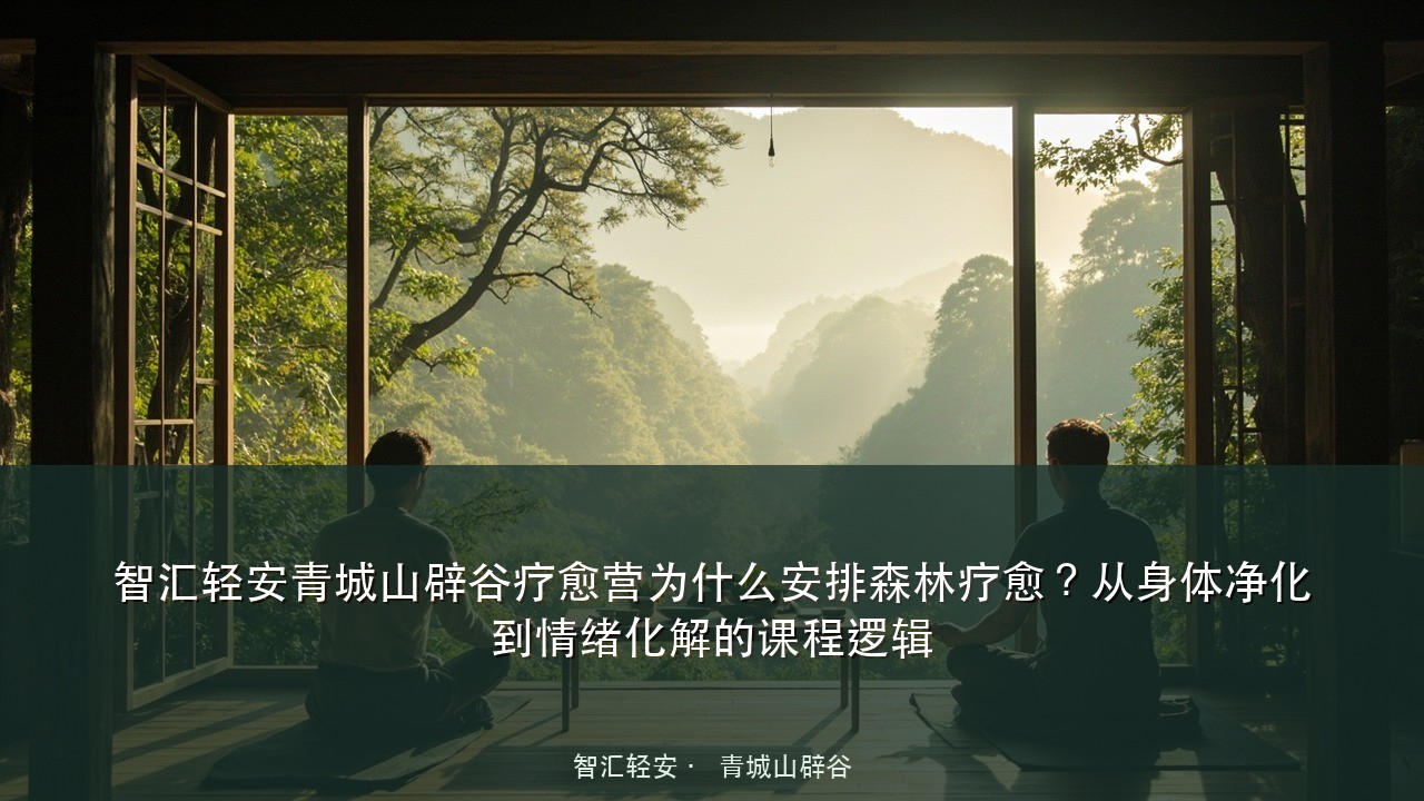 智汇轻安青城山辟谷疗愈营为什么安排森林疗愈?从身体净化到情绪化解的课程逻辑