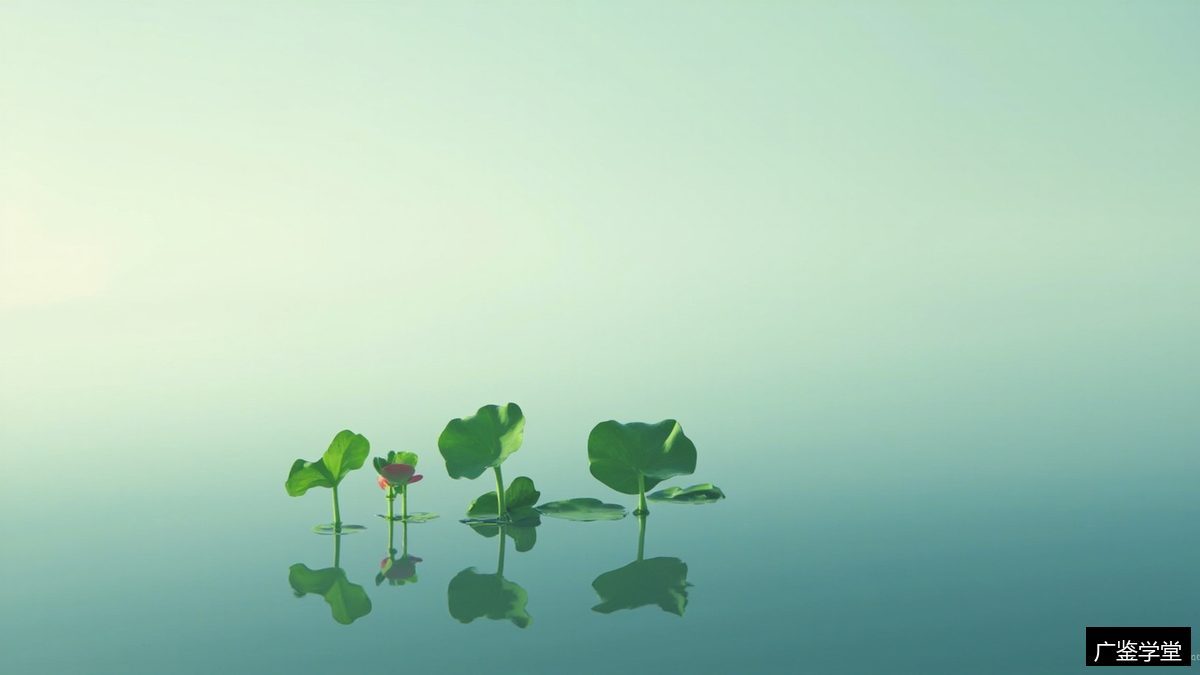 心若菩提是什么意思？广鉴学堂特训营信解愿行和企业经营咋挂钩