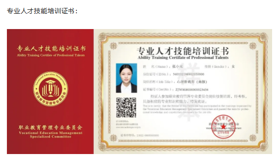 心理咨询师线上临床实践项目