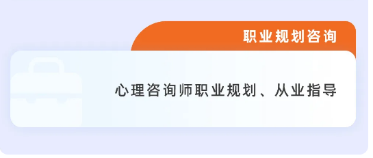 心理咨询师线上临床实践项目