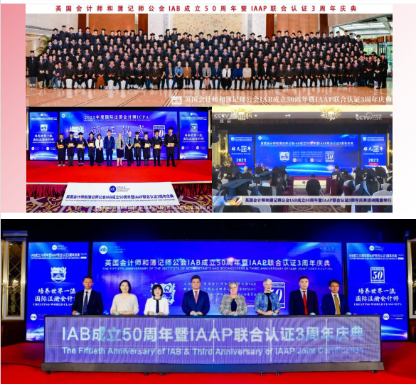 国际注册会计师ICPA项目