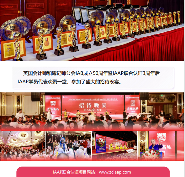 国际注册会计师ICPA项目